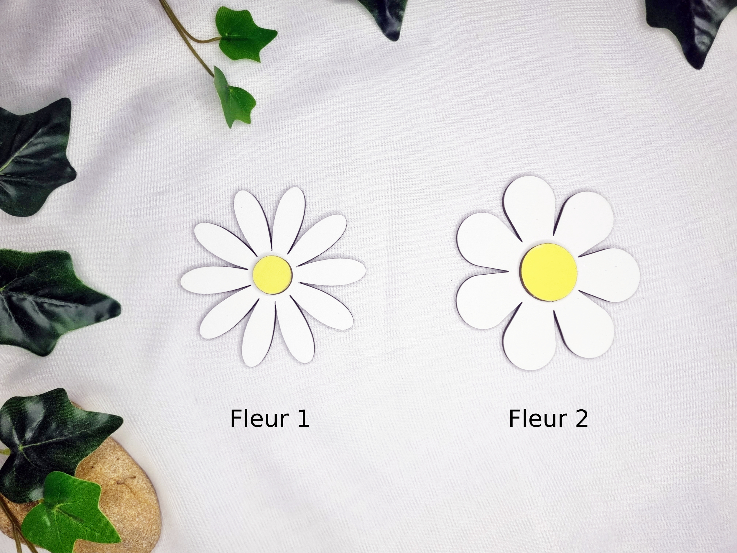 fleurs-marguerites-modeles